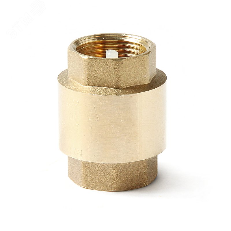 Изображение товара Клапан обратный с пластиковым диском В-В 2 (шт)