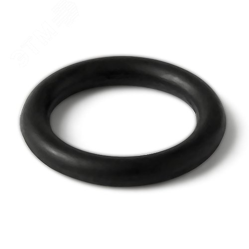 Изображение товара Кольцо уплотнительное для американки 50 (шт)