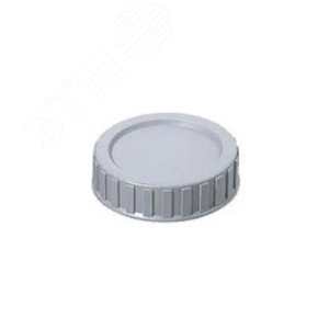 Изображение товара Крышка 110 мм для ревизии, канализационная (шт)