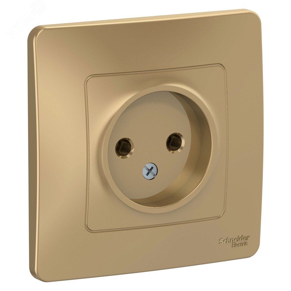 Изображение товара Розетка скрытой установки без заземления и шторок 16А 250В титан Systeme Electric BLANCA