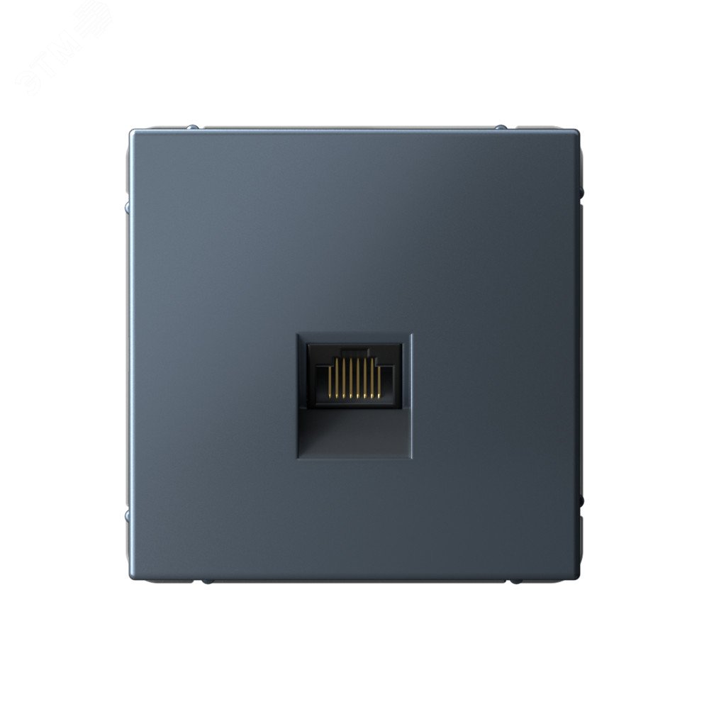 Изображение товара Розетка RJ45 категории 5E ARTGALLERY Systeme Electric с уникальным цветом грифель