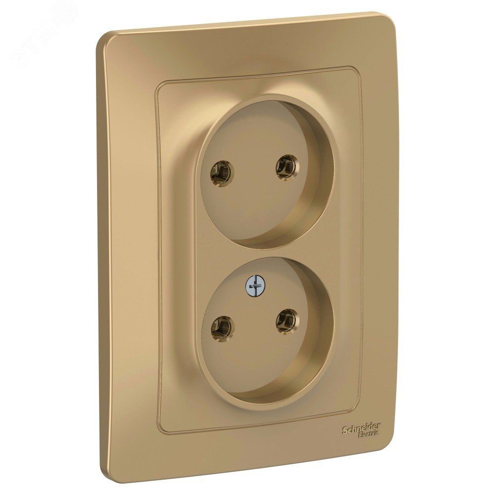 Изображение товара Розетка скрытой установки Blanca двойная без заземления 16А 250В титан