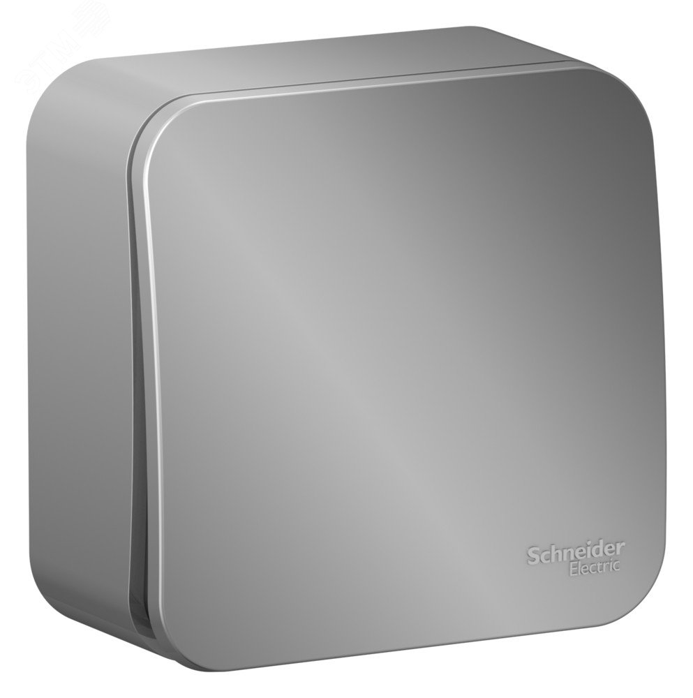 Изображение товара Выключатель одноклавишный Blanca с самовозвратом и изолирующей пластиной 10А алюминий