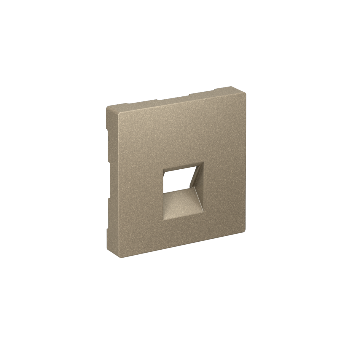 ATLASDESIGN НАКЛАДКА для информационных функций типа Keystone, ШАМПАНЬ