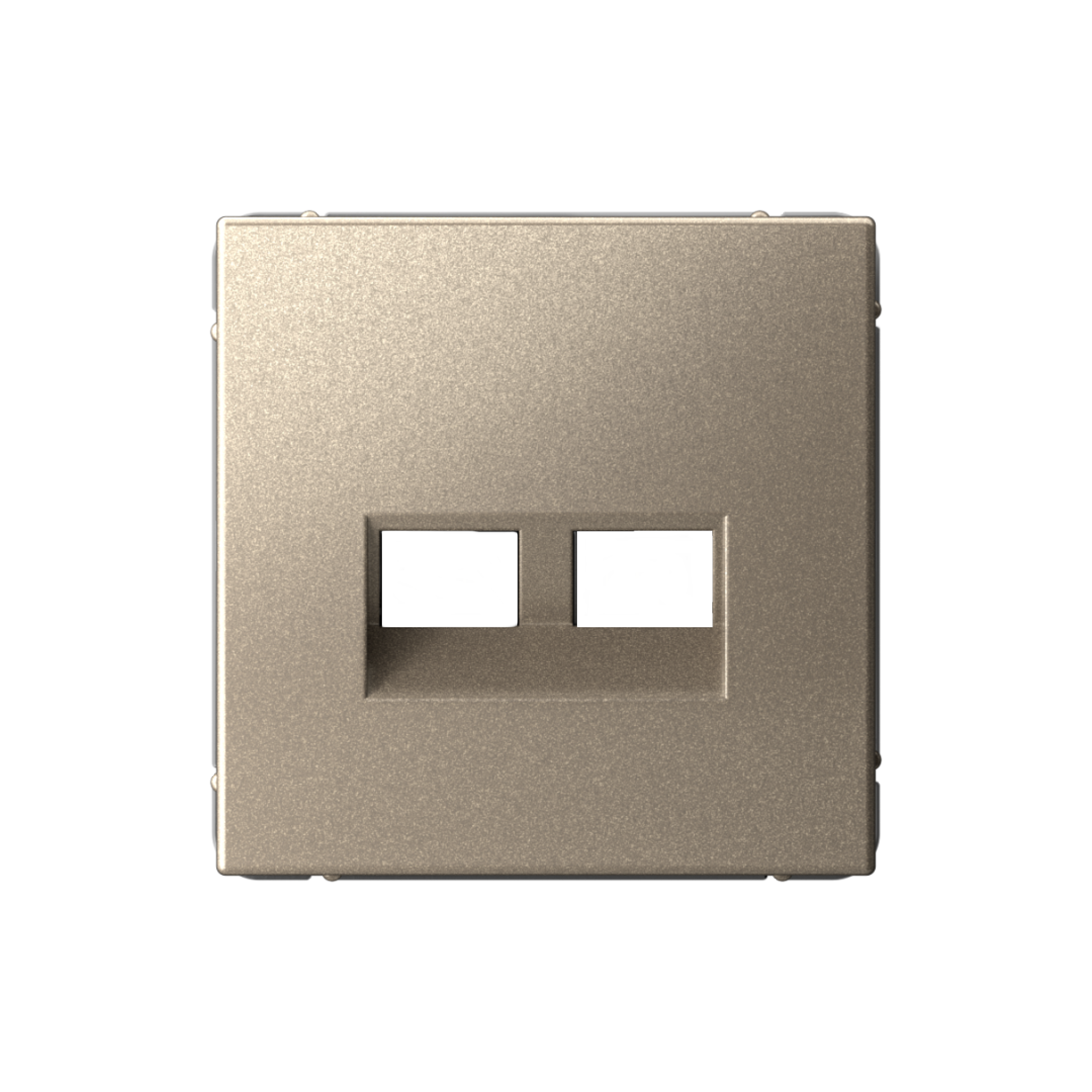 ARTGALLERY НАКЛАДКА двойная для информационных функций типа Keystone, ШАМПАНЬ