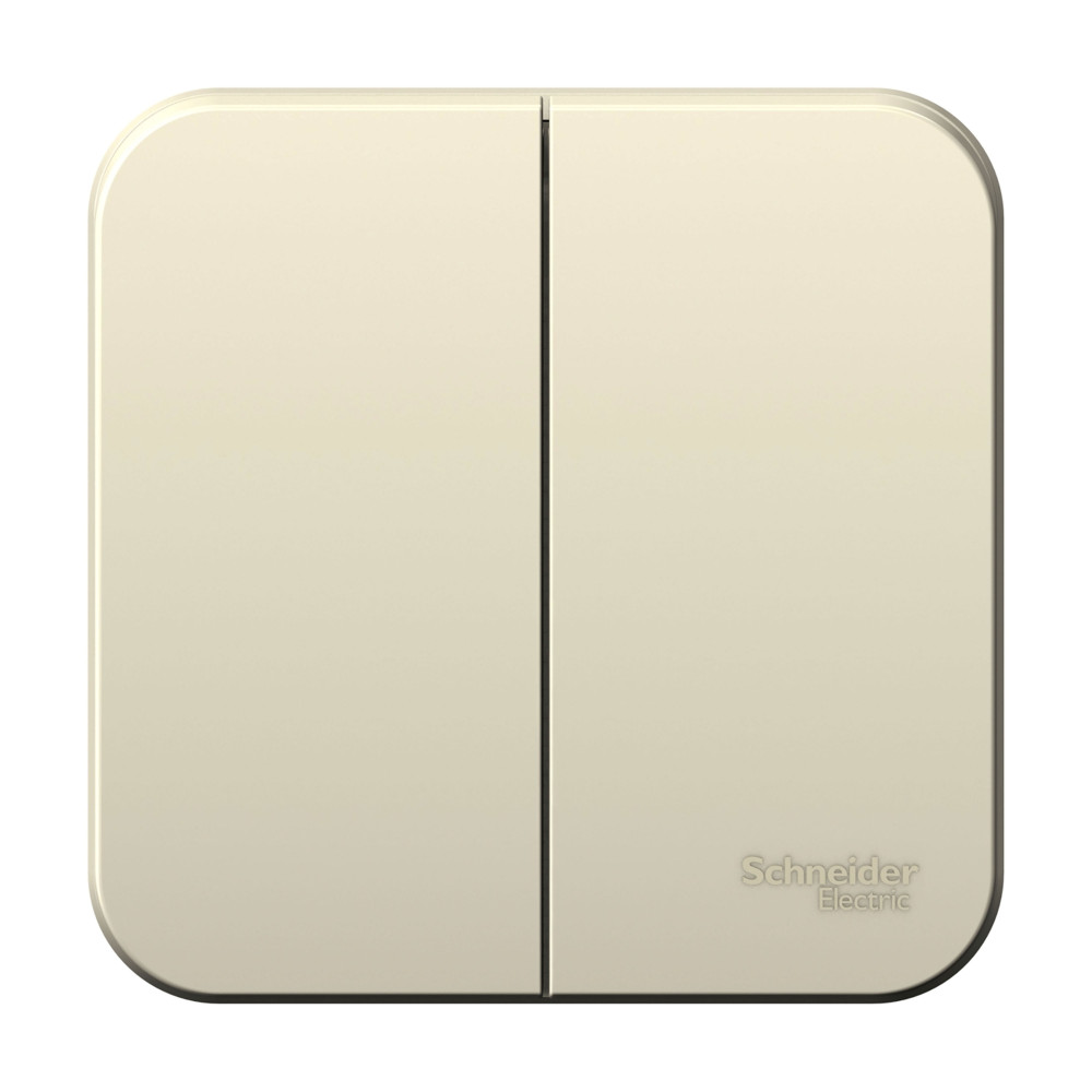 Выключатель наружный двухклавишный BLANCA (cх.5), с изолирующей пластиной, 10A, 250В, молочный