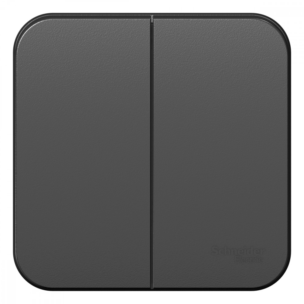 BLANCA  двухклавишный выключатель наружный  (cх.5), 10A, 250B, антрацит