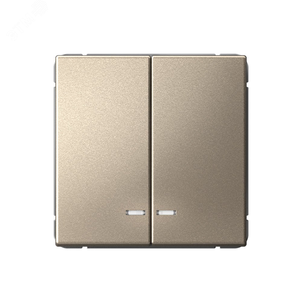 Изображение товара ARTGALLERY 2-клавишный выключатель с подсветкой шампань 10А для внутреннего монтажа