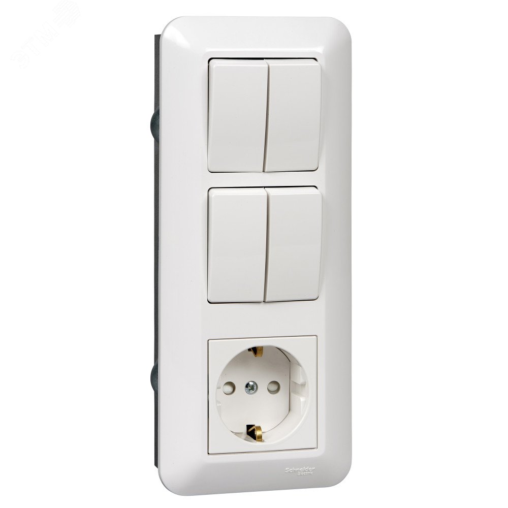 Изображение товара Розетка с заземлением и двухклавишные выключатели Systeme Electric Blanca белый