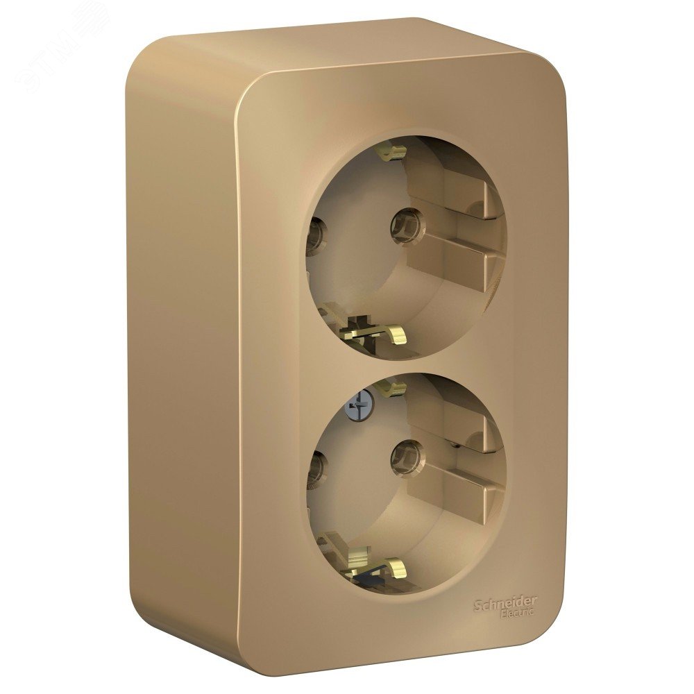 Изображение товара Наружная двойная розетка Blanca 16А 250В без шторок с заземлением титан