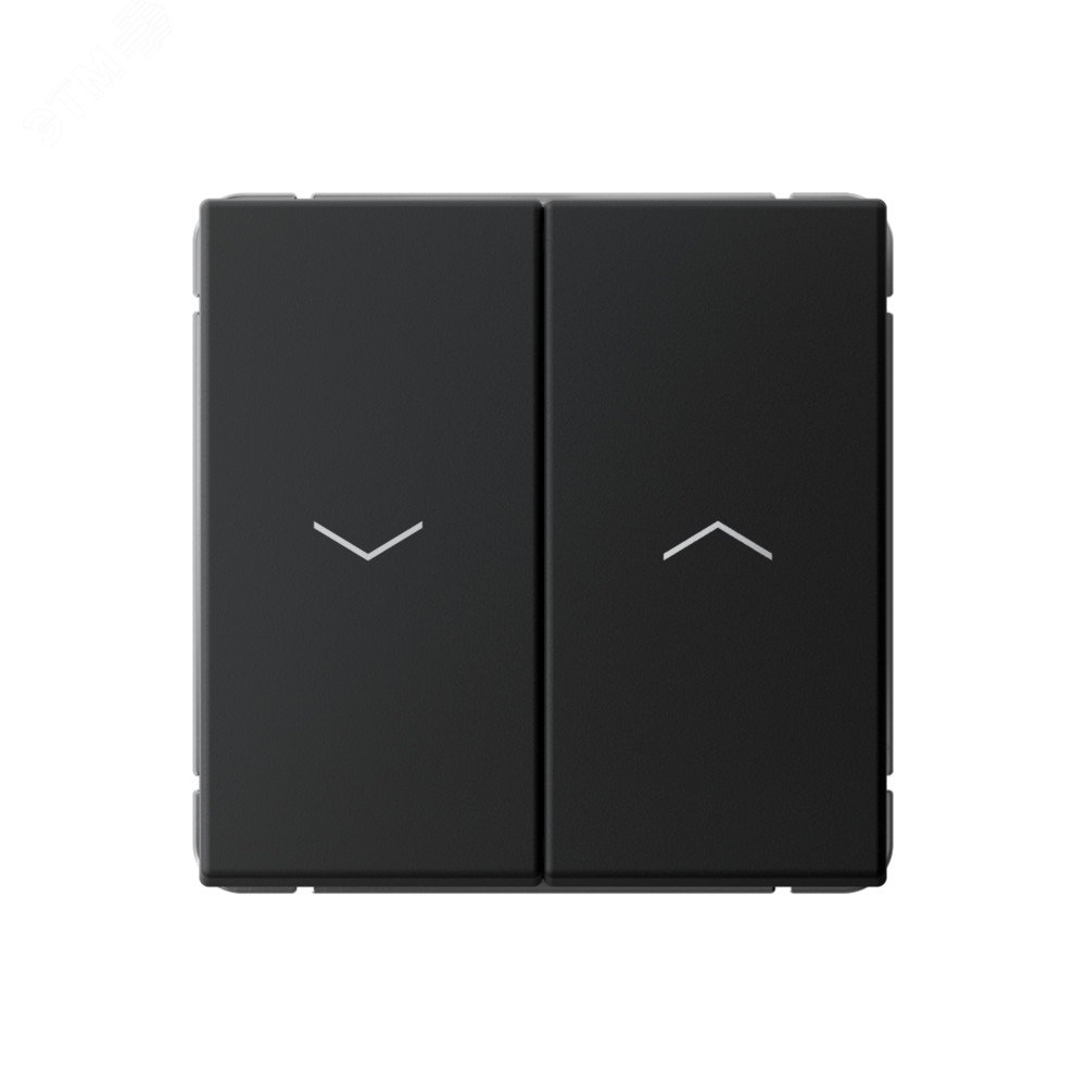 Изображение товара ARTGALLERY 2-клавишный выключатель для жалюзи SYSTEME ELECTRIC карбон