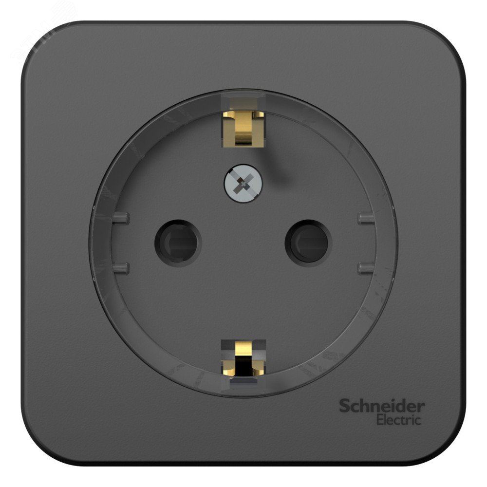 Изображение товара Наружная розетка Blanca с заземлением и шторками 16А антрацит
