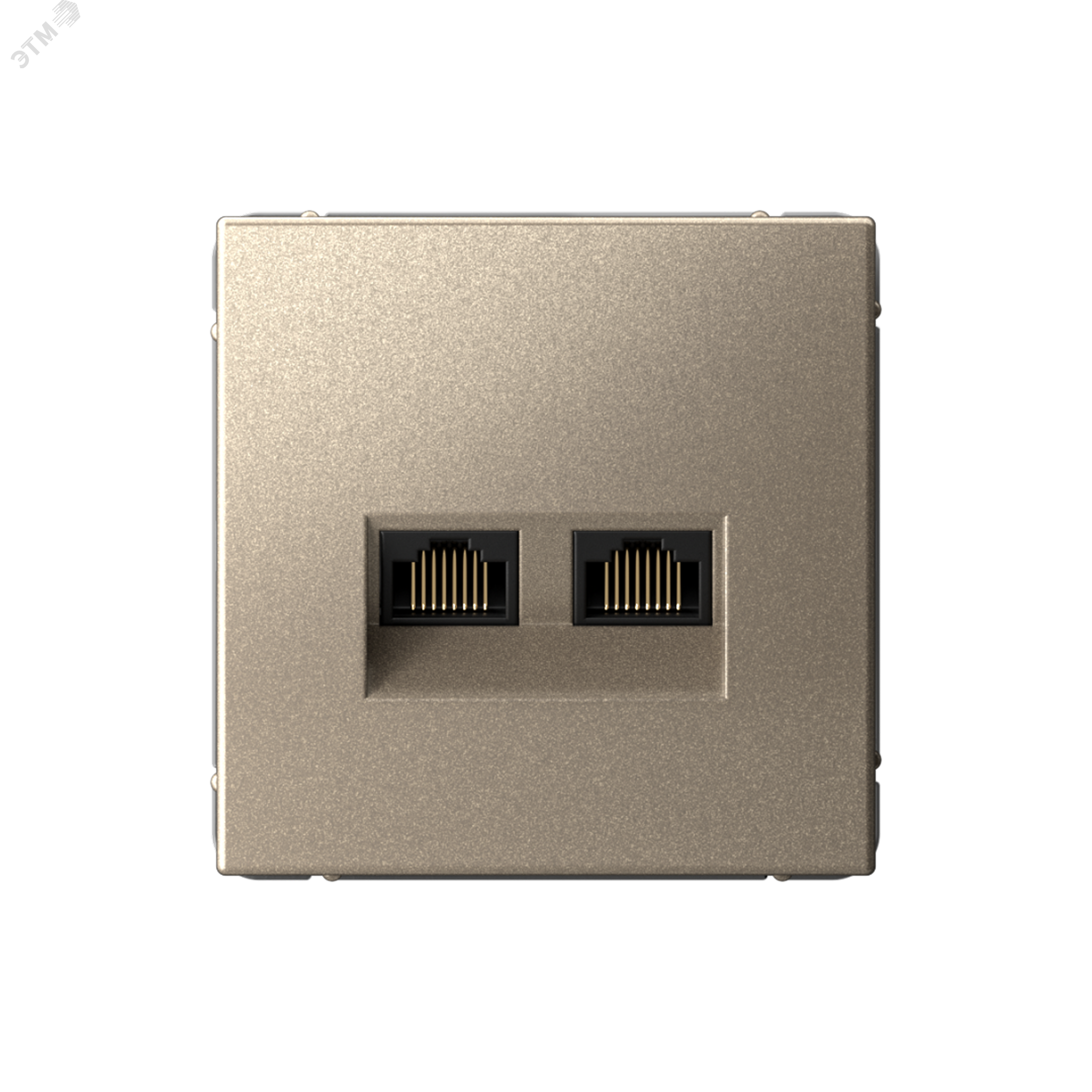 Изображение товара Двойная компьютерная розетка RJ45+RJ45 кат 5Е шампань ARTGALLERY Systeme Electric