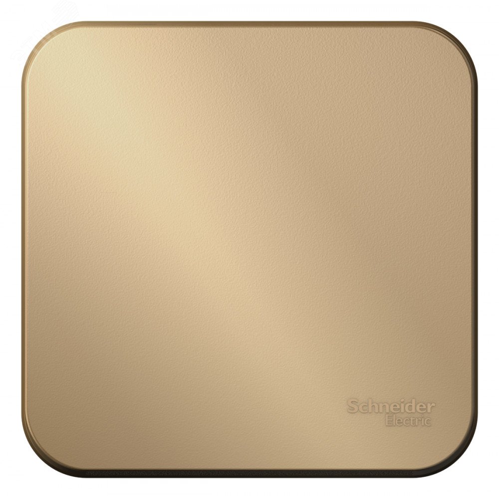 Изображение товара Одноклавишный наружный выключатель Blanca 10A 250V с изолирующей пластиной Титан