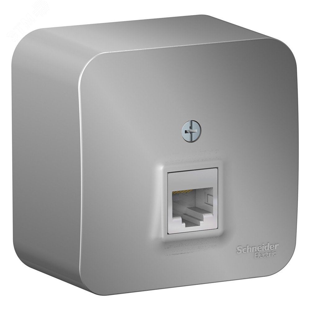 Изображение товара Розетка BLANCA наружная компьютерная RJ45, кат.5e, с изолирующей пластиной, алюминий (шт)