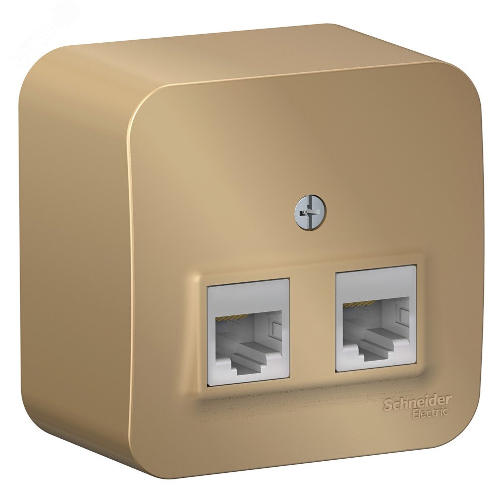 Изображение товара Розетка BLANCA для компьютера RJ45 категории 5е, пластиковая, открытая установка, титан