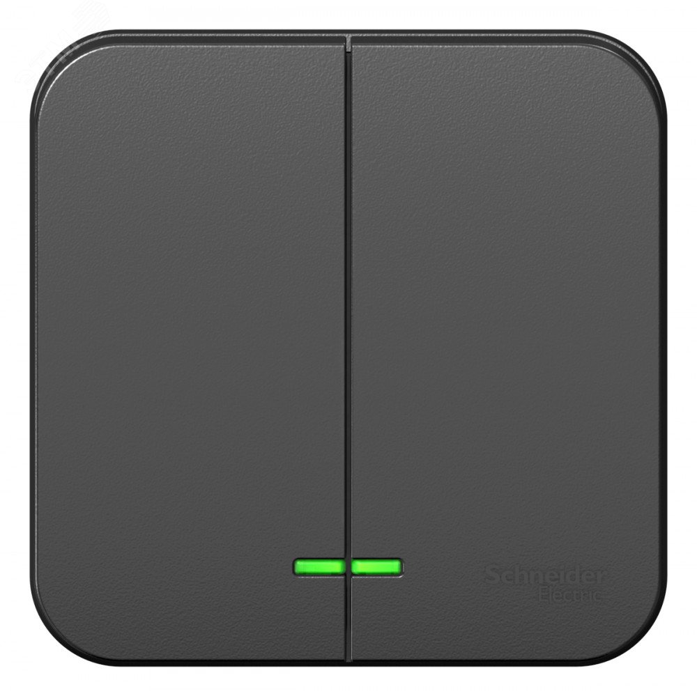 Изображение товара Двухклавишный наружный выключатель Blanca IP20 10A 250V антрацит с подсветкой