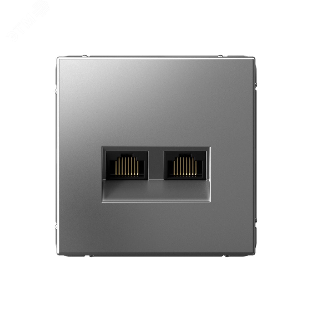 Изображение товара Двойная компьютерная розетка RJ45 категория 6А Steel ArtGallery Systeme Electric