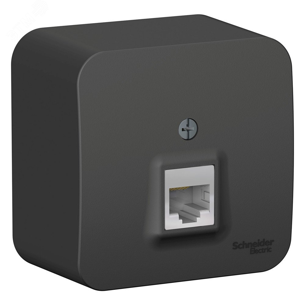 Изображение товара Розетка Systeme Electric BLANCA антрацит для подключения RJ45 кабелей наружная