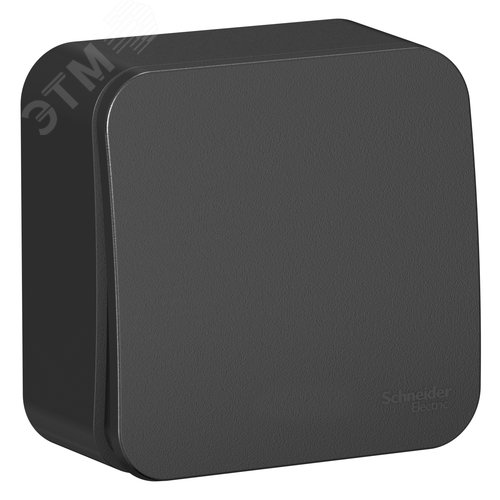 Выключатель BLANCA одноклавишный наружный (схема 1) 10A 250B антрацит - фото 3