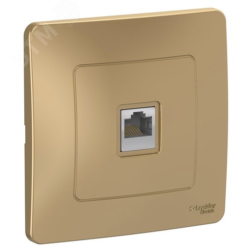 Изображение товара BLANCA скрытой установки розетка компьютерная RJ45, титан (шт)