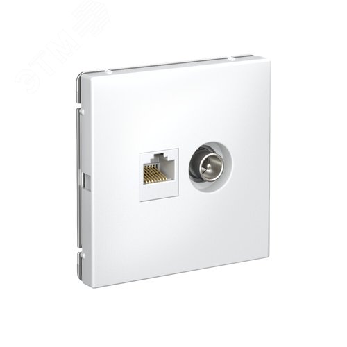 ARTGALLERY розетка двойная ТВ + компьютерная RJ45, кат. 5Е, лотос - фото 2