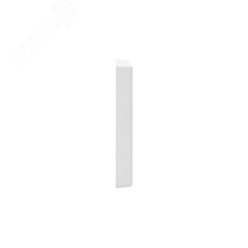 ARTGALLERY рамка 1-постовая, лотос - фото 6