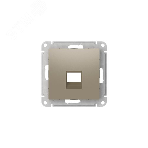 ATLASDESIGN НАКЛАДКА для информационных функций типа Keystone, ШАМПАНЬ - фото 2