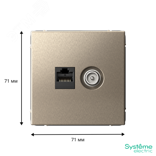 ARTGALLERY розетка двойная ТВ + компьютерная RJ45, кат. 5Е, шампань - фото 3