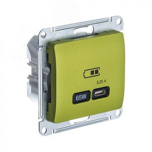 GLOSSA USB РОЗЕТКА тип-C 65W высокоскор.заряд. QC, PD, механизм, ФИСТАШКОВЫЙ - фото 1