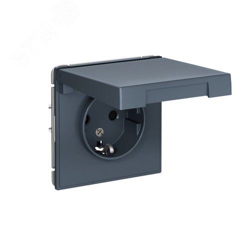 ARTGALLERY розетка с заземл. со шторк. с крышкой, 16А, IP20, механизм, грифель - фото 2