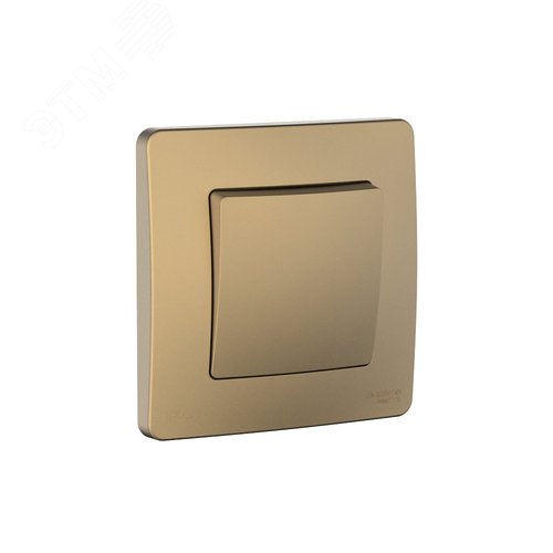 Изображение товара BLANCA С/У IP44 1-клавишный ПЕРЕКЛЮЧАТЕЛЬ (сх.6), 10AX, 250В, ТИТАН (шт)