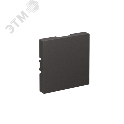 ATLASDESIGN ЗАГЛУШКА без суппорта для многопостовых рамок, БАЗАЛЬТ - фото 1