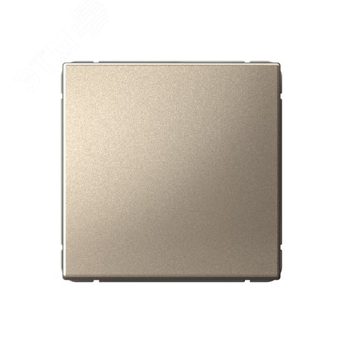 Изображение товара ARTGALLERY 1-клавишный выключатель кнопочный, 10А, механизм, шампань (шт)