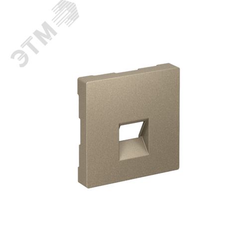 ATLASDESIGN НАКЛАДКА для информационных функций типа Keystone, ШАМПАНЬ - фото 1