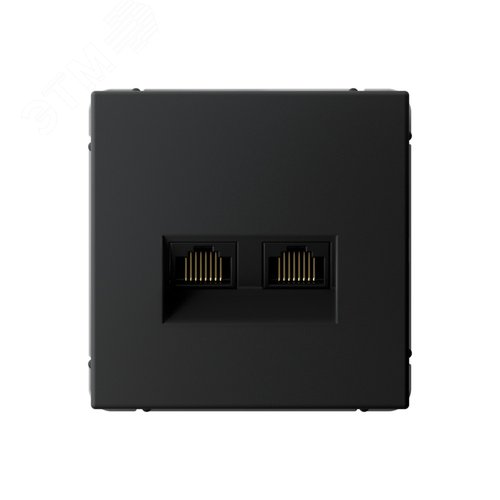 Изображение товара ARTGALLERY розетка двойная компьютерная RJ45+RJ45, кат.6А, механизм, карбон (шт)