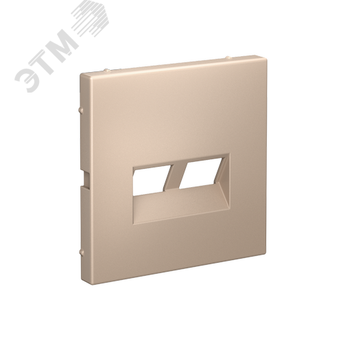 ARTGALLERY НАКЛАДКА двойная для информационных функций типа Keystone, ПЕСОЧНЫЙ - фото 2