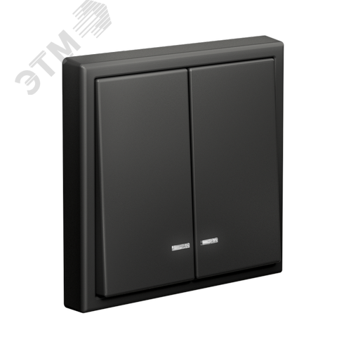 ARTGALLERY 2-клавишный выключатель с подсветкой, сх.5а, 10АХ, механизм, базальт - фото 4