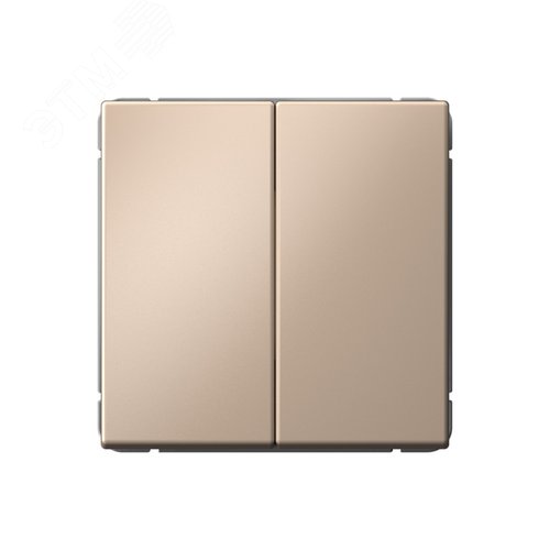 Изображение товара ARTGALLERY 2-клавишный выключатель кнопочный, сх.2, 10А, механизм, песочный (шт)