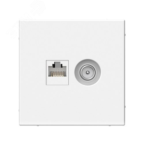 Изображение товара ARTGALLERY розетка двойная ТВ + компьютерная RJ45, кат. 5Е, белый (шт)
