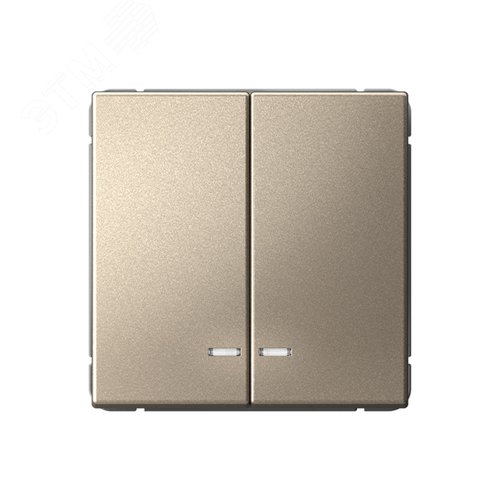 Изображение товара ARTGALLERY 2-клавишный выключатель с подсветкой, сх.5а, 10АХ, механизм, шампань (шт)