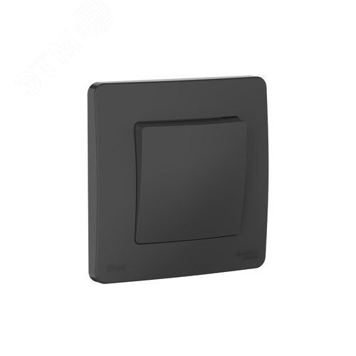 BLANCA С/У IP44 1-клавишный ПЕРЕКЛЮЧАТЕЛЬ (сх.6), 10AX, 250В, АНТРАЦИТ - фото 1