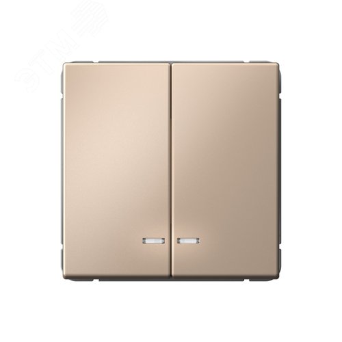 Изображение товара ARTGALLERY 2-клавишный выключатель с подсветкой, сх.5а, 10АХ, механизм, песочный (шт)