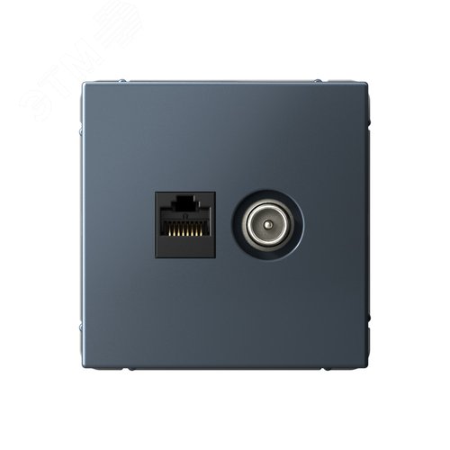 ARTGALLERY розетка двойная ТВ + компьютерная RJ45, кат. 5Е, грифель - фото 1