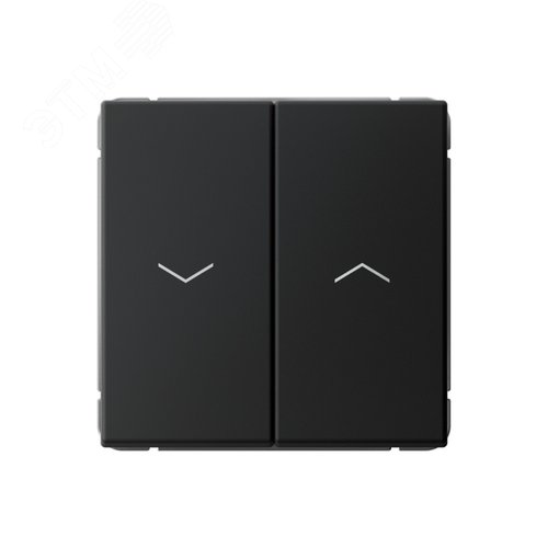 Изображение товара ARTGALLERY 2-клавишный выключатель для жалюзи, 2х сх.4, 10А, механизм, карбон (шт)