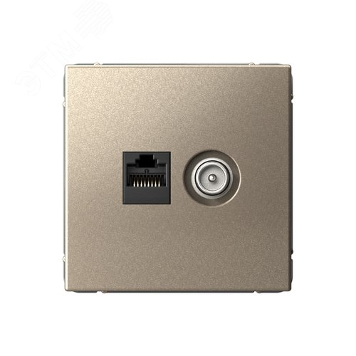 Изображение товара ARTGALLERY розетка двойная ТВ + компьютерная RJ45, кат. 5Е, шампань (шт)