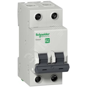 Vyklyuchatel Avtomaticheskij Dvuhpolyusnyj 32a S Ic60n 6ka Schneider Electric Kupit Cena