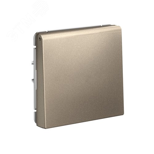 ARTGALLERY вывод кабеля, механизм, шампань - фото 2