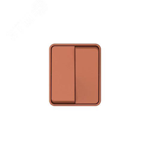 AtlasDesign PROFI IP54 О/У 2-клавишный ВЫКЛЮЧАТЕЛЬ 10 АХ, ТЕРРАКОТОВЫЙ - фото 3