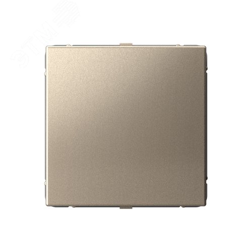 ARTGALLERY заглушка без суппорта для многопостовых рамок, шампань - фото 1